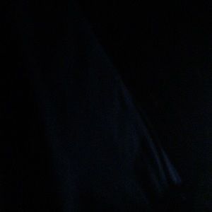 Meet your Posher, Dylan